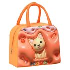 Thermal Bag Cartoon Lunch Bags Lunch Box Accessories Insulated Lunch Box Bags