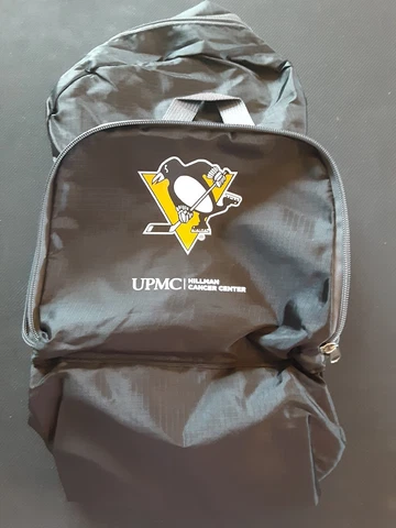 NHL Hockey Pittsburgh Penguins Collapsable Arena Backpack Cover