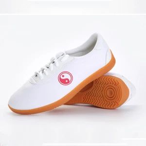 Chinese Canvas Upper Shoes Kung Fu Tai Chi Martial Arts Wushu Sports Gym Unisex - Picture 1 of 10