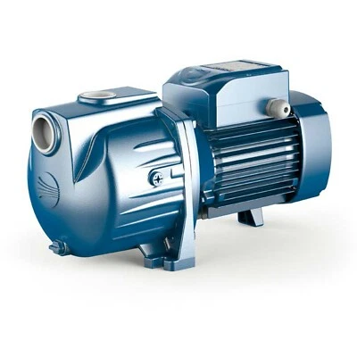 Self Priming Centrifugal Pump 1PH SKRm 2 V.115/60HZ 2.0HP NPT - Image 1 of 4