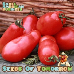 225 San Marzano Tomato Seeds- With Bonus! |Organic Non-GMO Heirloom - Picture 1 of 12