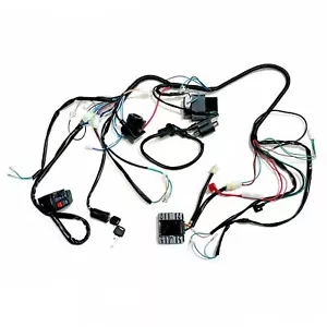 Arnés de cableado DC telar GY6 200cc 250cc motor quad moto todoterreno ATV buggy - Imagen 1 de 11
