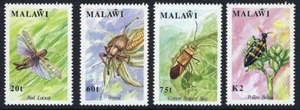 MALAWI 1991 tropical INSECTS SC#590-93 MNH CV$17.75 BEETLES, LOCUST - Picture 1 of 1