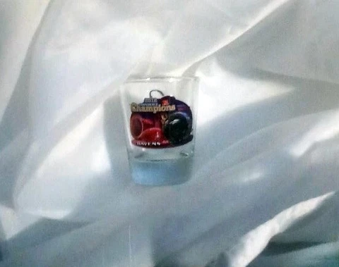 Baltimore Ravens Conference Champions Champs SHOT GLASS ~ RARE NEW Cover