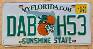 FLORIDA 3 BUCHSTABEN WORT AUTO NUMMERNSCHILD " DAB H 53 " FL A LITTLE DAB WILL DO YA - Bild 1 von 1