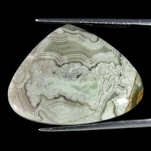 18.30Cts Natural Crazy Lace Agate Pear Cabochon Loose Gemstone - Picture 1 of 5