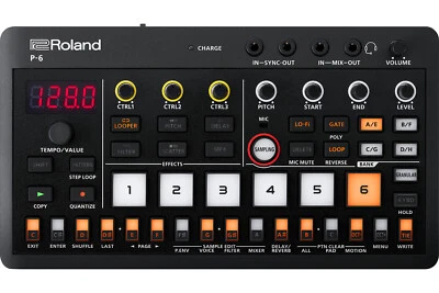 Roland P-6 Compact Creative Sampler | Campionatore Granulare | Sequencer 64 Step - Immagine 1 di 4