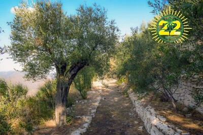 BIO Olivenbaum Dünger, Universaldünger, Palmen Dünger,  3KG  22KW-Natur - Bild 1 von 4