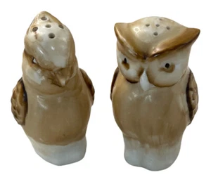 Owl and Parakeet  Salt & Pepper Shakers Birds  Made in Occupied Japan Vintage - Picture 1 of 10