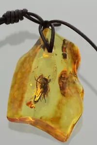 Colgante de cuero ajustable Fossil Enorme FLY ÁMBAR BÁLTICO genuino 10,7 g 30525-11 - Imagen 1 de 5