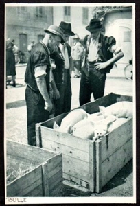 1951 -- SUISSE JOUR DE MARCHE AUX BESTIAUX A BULLE . 3T689 - Picture 1 of 1