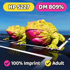 ARK Survival Ascended PVE Belzebufo TOP 809 DM +5k HP Yellow Frog PC/XBOX/PC - Imagen 1 de 6