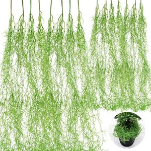 15 pcs Spanish Moss for Plants Indoor Faux Hanging Moss Hanging Succulents Pl... - Picture 1 of 7