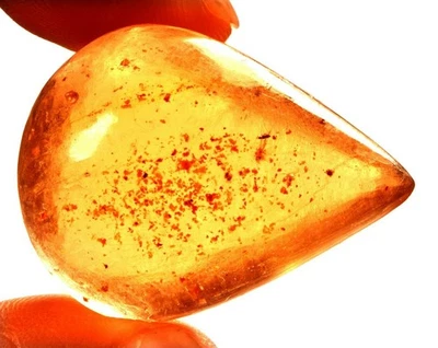30.5 Cts. Natural Genuine Old Baltic Amber Untreated Certified Gemstone - Image 1 of 4
