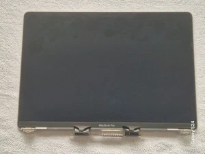Apple Macbook Pro 13 A2251 EMC 3348 LCD Screen Panel Assembly Space Grey Genuine - Afbeelding 1 van 9