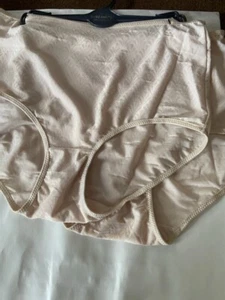 KATHY IRELAND Women's Brief Underwear Panties Polyester Blend 2-Pair Plus 1X - Picture 1 of 3