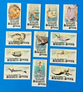 2020 TOPPS ALLEN & GINTER mini  FULL SET of 20 . BEHEMOTHS BENEATH . OCEAN FISH - Picture 1 of 2