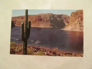 Arizona Postcard Canyon Lake AZ - Picture 1 of 2