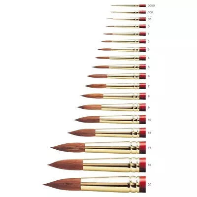 Winsor & Newton 5181731-5181719 Sceptre Gold II Series 101 Round Brush - Image 1 of 2