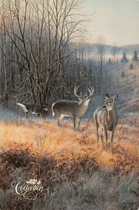 Postal publicitaria de colección Primal Airs Whitetail Deer de Jim Kasper Wild Wings - Imagen 1 de 2