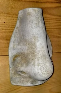 Michelangelo's David Nose Classic Greek Roman Art Wall Sculpture - Picture 1 of 5