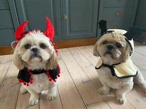 Dog Cat Pet Halloween Christmas Hoods Capes Costumes - Picture 1 of 19