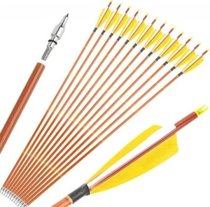 30" Carbon Arrows SP500 4" Turkey Feather Archery Recurve Bow Tips Shoot Hunting - Picture 1 of 31