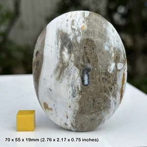 Ocean jasper polished pebble from madagascar - healing crystal, genuine specimen - Picture 1 of 2