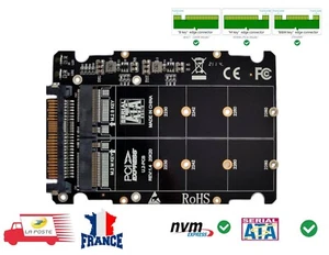 Adaptateur 2 en 1 M.2 SSD vers U.2, NVMe et SATA-Bus NGFF SDD vers PCIe SFF-8639 - Photo 1/9