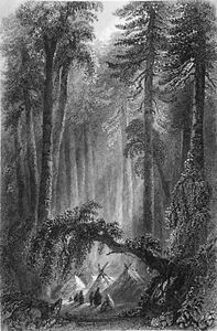 CANADA (QUEBEC) - INDIENS et TIPIS (ou TEPEE) dans la FORÊT - Gravure du 19eme - Imagen 1 de 2