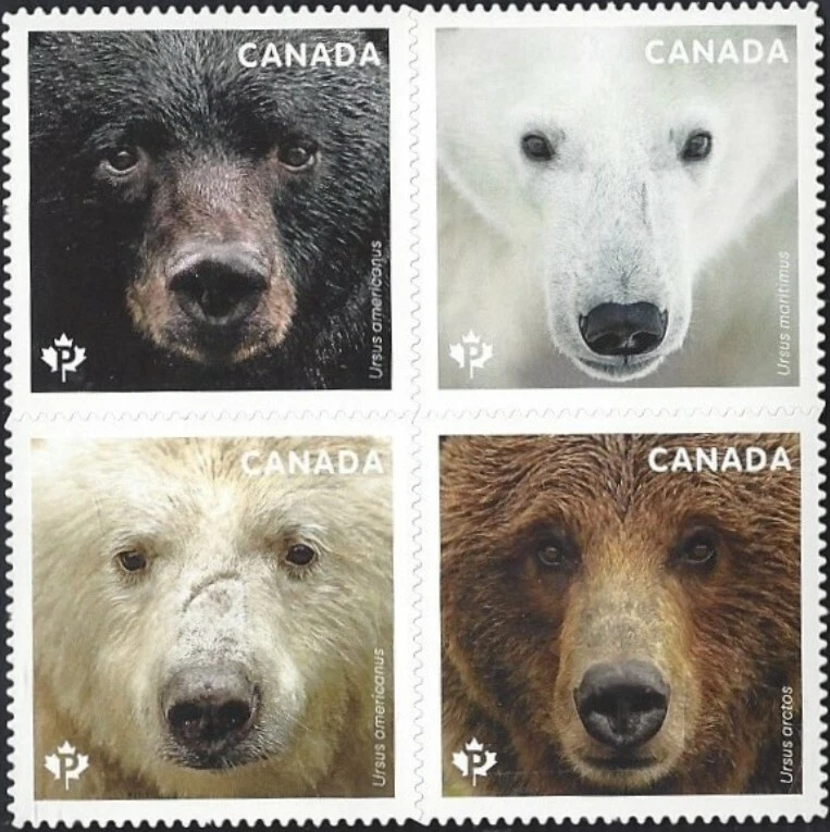 🍁Canada  #3194i    "BEARS / OURS"      Die Cut 2019 Q/Pac Block Issue - Image 1 of 1