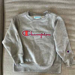 Champion Toddler Boy Gray Sweatshirt Size 4 - Picture 1 of 8