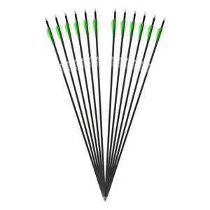 Carbon-Hybridpfeile Drake Fire Pfeile 30 Zoll Spine 500 - Bild 1 von 5