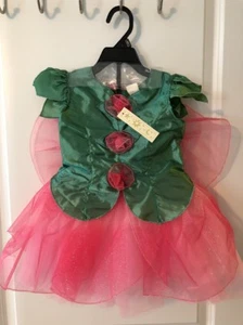 Girls Size 4T, Fairy Costume, 4-Piece Set, Halloween, Dress Up, Princess, New - Picture 1 of 11