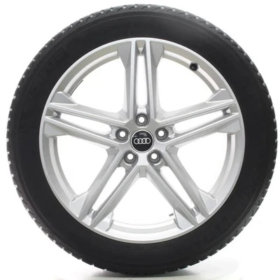 Audi Q5 SQ5 FY Winterräder 5-Arm-Doppelspeiche Michelin 255/45R20 80A601025N - Bild 1 von 4