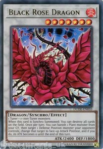 DUDE-EN010 Black Rose Dragon Ultra Rare 1st Edition Mint YuGiOh Card