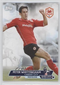 2013 Topps English Premier Gold Peter Whittingham #12 Rookie RC