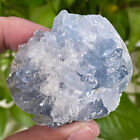 172G Natural Beautiful Blue Celestite Crystal Geode Cave Mineral Specimen