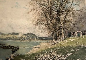 Luigi Kasimir Danube Near Vienna Colored Etching Artist Pencil Signed Landscape  - Picture 1 of 5