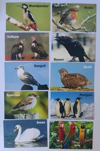 Memory Card Game Birds For Kids & Adults 30 sets / 60 Cards Matching Game - Picture 1 of 13