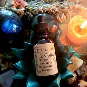Black Cohosh Organic Tincture Herbal Extract Handcrafted & Aged 1 Year - Picture 1 of 5