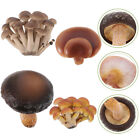  4pcs Mushroom Growth Toys Lifelike Agaric Learning Models Toddlers Mushroom