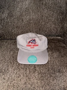 Rare Stony Brook Long Island Seawolves dad hat cap New York College University - Picture 1 of 3