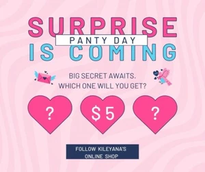Surprise Panty Package! Sexy, Cute, Naughty, Flirty Panties! Sizes XS-4X - Picture 1 of 2