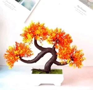 Bonsai Dragon Orange Tree - Picture 1 of 1