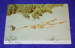Vintage Chrom Postkarte "Wüstentragödie - Die düsteren Gefahren der Wüste von Nevada" - Bild 1 von 2