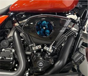 Blue Skulls 2024 Touring Air Cleaner Insert. Fits 2024+ Street & Road Glide - Bild 1 von 5