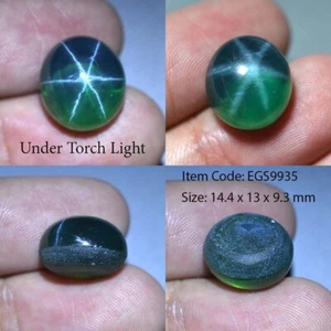 19.95 Ct 14.4x13 MM Emerald Green Star Sapphire 6 Rays Lab Corundum VDO EGS9935 - Picture 1 of 6
