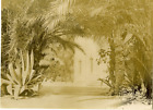Tunisie Jardin De La Residence Generale A Tunis Situe A L And 039Arriere Du Bati