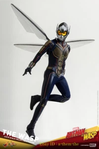 HotToys HT Wasp Ant-Man The Wasp MMS498 Action Figure Model Collectible New Toys - Picture 1 of 9